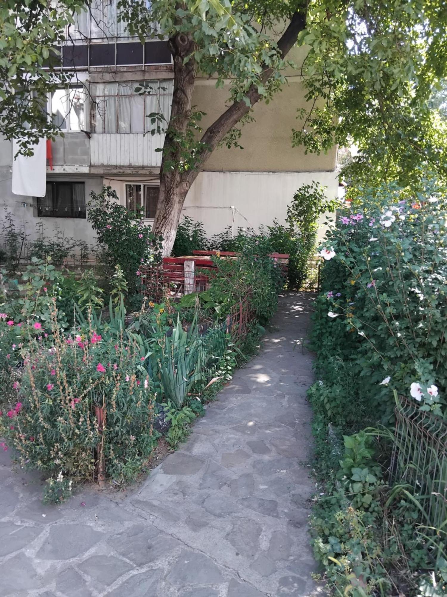 Apartament Rusu Nehoiu Exterior photo